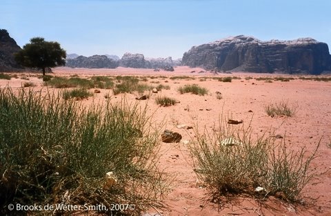 WadiRum-Jordan.jpg